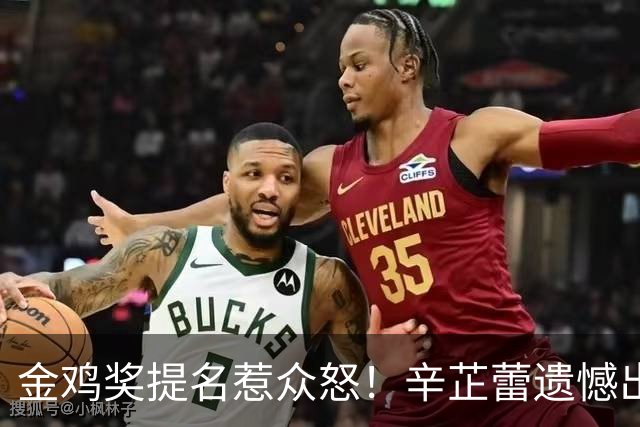 金鸡奖提名惹众怒！辛芷蕾遗憾出局，宋佳凭女配戏份冲三封太离谱！